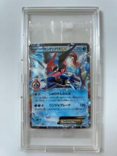 2025年最新】ゲッコウガ xyの人気アイテム - メルカリ