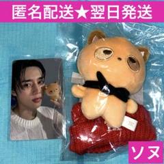 THEBOYZ ドボイズ ソヌ SUNWOO ぬいぐるみ セット 2025年最新】ソヌ ぬいぐるみ theboyzの人気アイテム - メルカリ