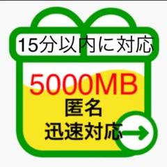 mineo パケットギフト 5GB マイネオパケットギフトコード