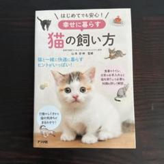はじめてでも安心!幸せに暮らす猫の飼い方