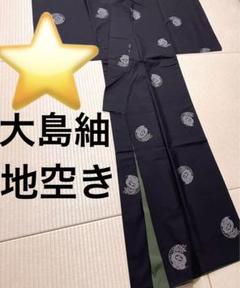 美品　単衣紬　絣　飛び柄　濃紺　藍 結城紬 袷 藍 絣 飛び柄 椿文様 綿 - メルカリ