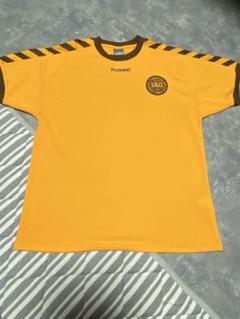 hummel デンマーク代表　トレーニングシャツ