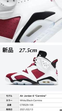 NIKE エアジョーダン6 レトロ オージー カーマイン