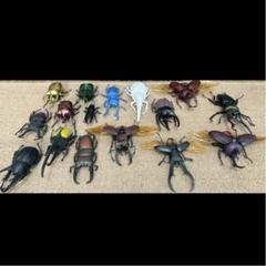 いろんなカブトムシ&クワガタ