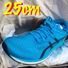 25.0cm メタレーサー アシックス METARACER asics マラソン