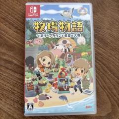 牧場物語 オリーブタウンと希望