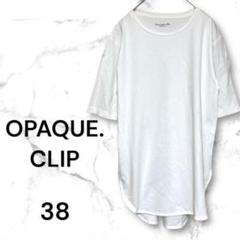 〈オペークドットクリップ〉半袖Tシャツチュニック　マーセライズコットン　38