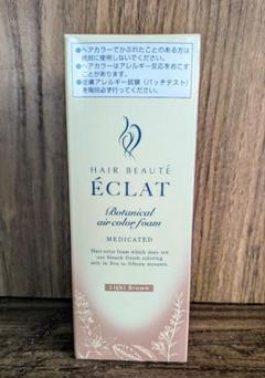 2025年最新】ヘアボーテエクラボタニカルエアカラーフォーム