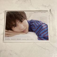柏木悠　カレンダーブック　特別版 柏木悠 カレンダーブック 2024.04-2025.03 特別版: 本・コミック