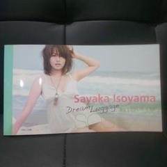 Dream Luggage : 磯山さやか sosexy.写真集