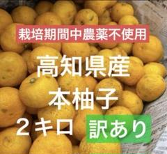 2025年最新】無農薬 柚子の人気アイテム - メルカリ