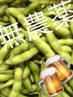 枝豆 (愛媛県産 無農薬)