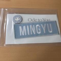 SEVENTEEN セブチ ミンギュ ワッペン Amazon.co.jp: SEVENTEEN セブチ Ode to You ネームワッペン