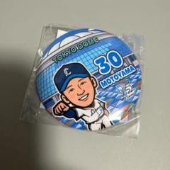 【レア】ファンクラブ会員限定　直筆サイン入り　チェキ　西武ライオンズ　元山　高松 レア】ファンクラブ会員限定 直筆サイン入り チェキ 西武