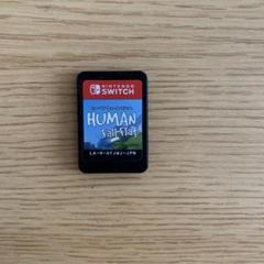 ヒューマンフォールフラット　ソフトのみ