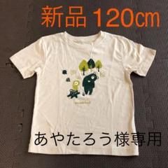 Tシャツ mont-bell 新品