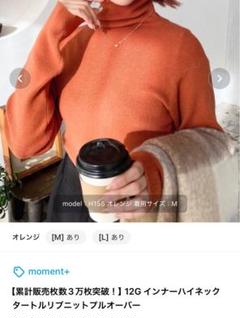 moment+ タートルリブニットプルオーバーのサムネイル