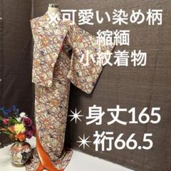 縮緬 丸文 素敵なデザイン 小紋 正絹 T-1913