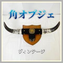 水牛の角 特大サイズ 138cm 壁掛け