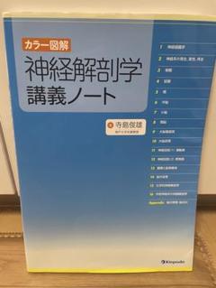 図説 神経機能解剖テキスト　裁断済み 図説筋の機能解剖 | ジョン H.ウォーフィル, 盛岡 通, 小川 恵子