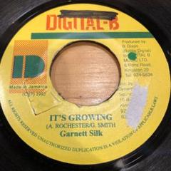 レア盤☆REGGAE　７インチ　GARNETT SILK　COMPLAINT Garnet Silk - Complaint(7