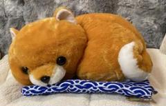 豆しば三兄弟　お座布でくつろぎ　ぬいぐるみ　豆太郎　柴犬