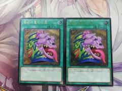 遊戯王 強欲で貪欲な壺 レリーフ 2枚