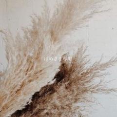 大人気！【AMERI】 FLOWER MESH LAYERED VESTのサムネイル