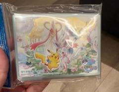 ポケモンカード 2025ポケモン杭州マスターズ プレイマット 中国 限定 fit=scale-down,w=1200