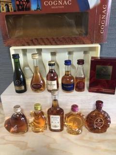 ブランデーミニ10本セット
