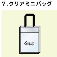ムンビョル　ミニクリアバッグ