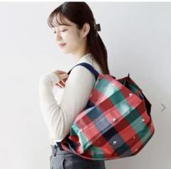 ファミリア エコバッグ 青緑 チェック柄　シュパット　Lサイズ　レア ファミリア シュパット Lサイズ エコバッグ｜Yahoo!フリマ（旧