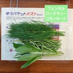 FLOWER様 ご確認用♡♡ - メルカリ