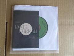 新品 DAVID DURRAH Venus Fly Trap