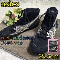【asics✨cael v4.0✨28.5cm】レスリング ボクシング シューズ