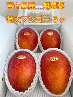 特5 宮古島産 特大マンゴー5玉 - メルカリ