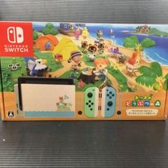 Nintendo Switch あつまれどうぶつの森セット