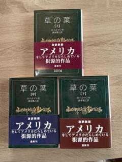 極美本】砂漠の海〜メルヴィルを読む（酒本雅之著）
