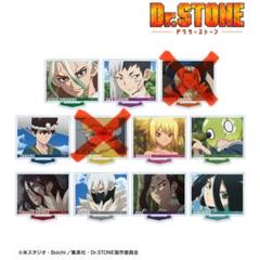 【9点】Dr.STONE場面写アクリルスタンド