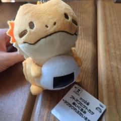 ツク之助 でっかいフトアゴヒゲトカゲぬいぐるみ Amazon.co.jp: ツク之助 でっかいフトアゴヒゲトカゲぬいぐるみ