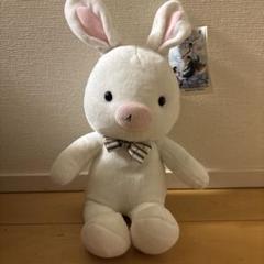 リラックス ぶたた ぬいぐるみ タグ付き 湯上がり LINE 限定 セキグチ 2025年最新】butata ぬいぐるみの人気アイテム - メルカリ