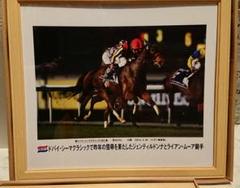 日刊スポーツ写真パネル ドバイ・シーマクラシック制覇 ジェンティルドンナ
