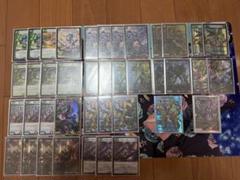 【デッキ】アナカラーマルル【40枚】 アナカラーマルル【ver1.2】{40枚}《デッキ販売》