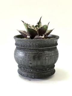 山中勇人 鉢 陶器鉢 植木鉢 山中勇人 作家鉢 植木鉢 鉄球 Y鉢