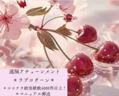 2025年最新】nala cocoonの人気アイテム - メルカリ