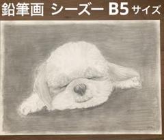 【鉛筆画】 シーズー　犬　動物 絵　原画