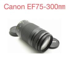 フード付き☆イベント☆スポーツ☆キャノン Canon EF75-300㎜☆ 望遠レンズ☆イベント☆スポーツ☆キャノン Canon EF75-300