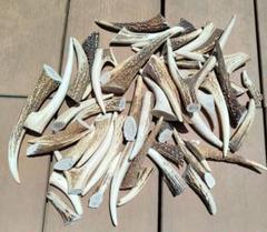 鹿角　アクセサリー素材　端材20.5kg 006 71+HA7HfwwL._UF350,350_QL50_.jpg