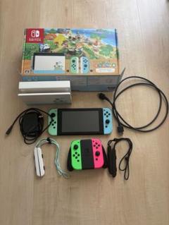 Nintendo Switch (どうぶつの森エディション)