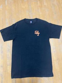 stussy ステューシー 90s 00s オールドステューシーTシャツ